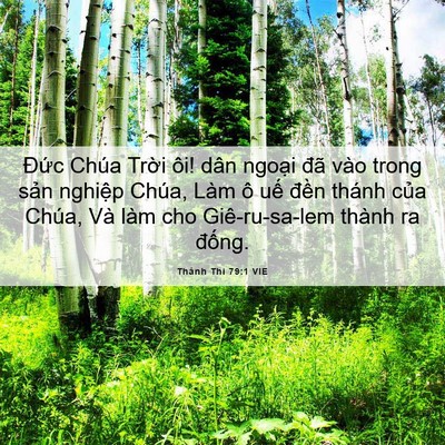 Picture 06 - Thánh Thi 79:1 VIE - Đức Chúa Trời ôi! dân ngoại đã vào - Bible Verse Picture