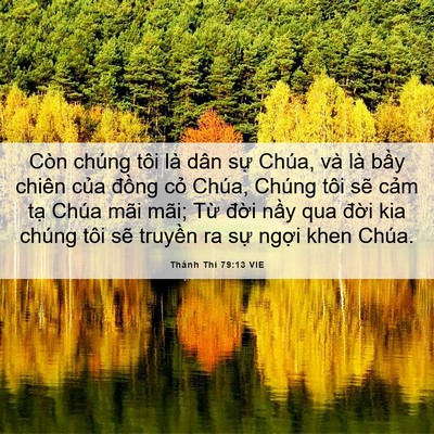 Picture 06 - Thánh Thi 79:13 VIE - Còn chúng tôi là dân sự Chúa, và là - Bible Verse Picture