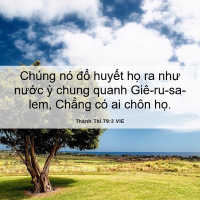 Picture 06 - Thánh Thi 79:3 VIE - Chúng nó đổ huyết họ ra như nước ỳ - Bible Verse Picture