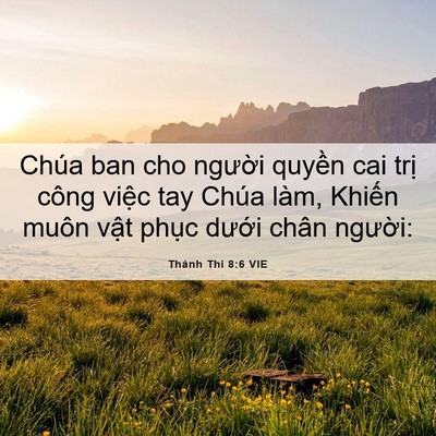 Picture 06 - Thánh Thi 8:6 VIE - Chúa ban cho người quyền cai trị công - Bible Verse Picture