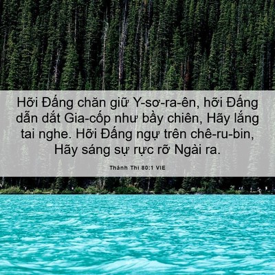 Picture 06 - Thánh Thi 80:1 VIE - Hỡi Đấng chăn giữ Y-sơ-ra-ên, hỡi - Bible Verse Picture
