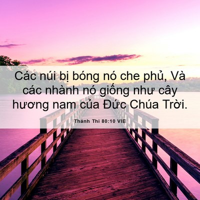 Picture 06 - Thánh Thi 80:10 VIE - Các núi bị bóng nó che phủ, Và các - Bible Verse Picture