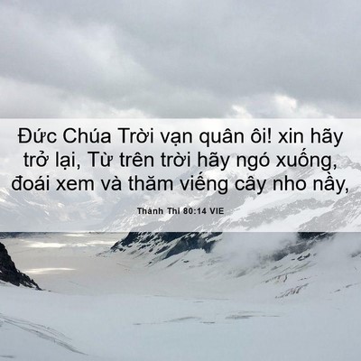 Picture 06 - Thánh Thi 80:14 VIE - Đức Chúa Trời vạn quân ôi! xin hãy - Bible Verse Picture