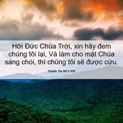 Picture 06 - Thánh Thi 80:3 VIE - Hỡi Đức Chúa Trời, xin hãy đem chúng - Bible Verse Picture