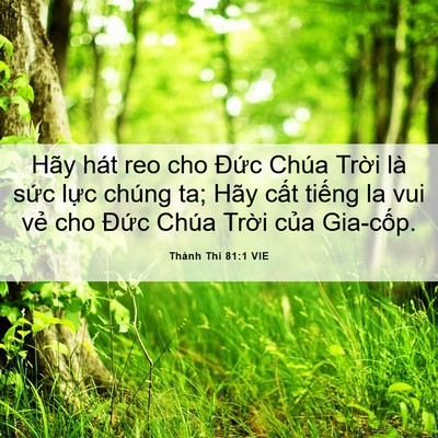 Picture 06 - Thánh Thi 81:1 VIE - Hãy hát reo cho Đức Chúa Trời là sức - Bible Verse Picture