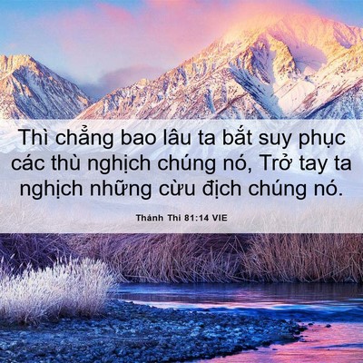 Picture 06 - Thánh Thi 81:14 VIE - Thì chẳng bao lâu ta bắt suy phục các - Bible Verse Picture