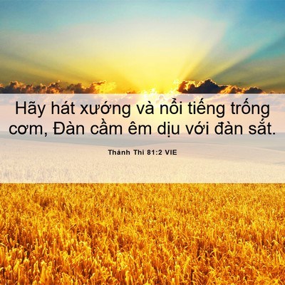 Picture 06 - Thánh Thi 81:2 VIE - Hãy hát xướng và nổi tiếng trống - Bible Verse Picture