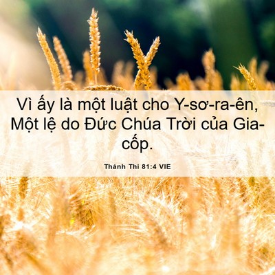Picture 06 - Thánh Thi 81:4 VIE - Vì ấy là một luật cho Y-sơ-ra-ên, Một - Bible Verse Picture