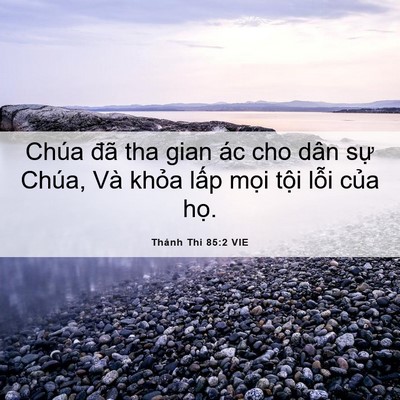Picture 06 - Thánh Thi 85:2 VIE - Chúa đã tha gian ác cho dân sự Chúa, Và - Bible Verse Picture