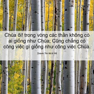 Picture 06 - Thánh Thi 86:8 VIE - Chúa ôi! trong vòng các thần không có ai - Bible Verse Picture