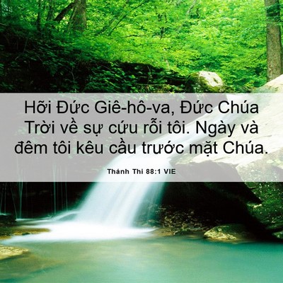 Picture 06 - Thánh Thi 88:1 VIE - Hỡi Đức Giê-hô-va, Đức Chúa Trời - Bible Verse Picture