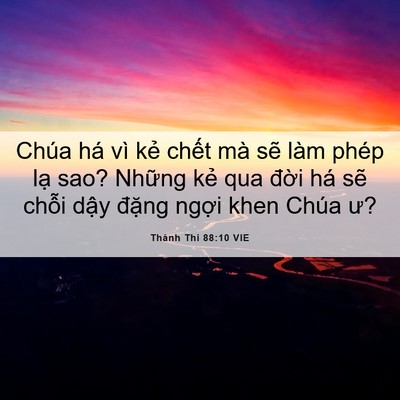 Picture 06 - Thánh Thi 88:10 VIE - Chúa há vì kẻ chết mà sẽ làm phép - Bible Verse Picture