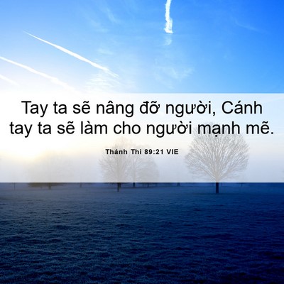 Picture 06 - Thánh Thi 89:21 VIE - Tay ta sẽ nâng đỡ người, Cánh tay ta - Bible Verse Picture