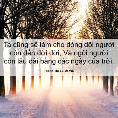 Picture 06 - Thánh Thi 89:29 VIE - Ta cũng sẽ làm cho dòng dõi người còn - Bible Verse Picture