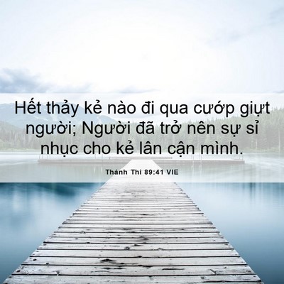 Picture 06 - Thánh Thi 89:41 VIE - Hết thảy kẻ nào đi qua cướp giựt - Bible Verse Picture