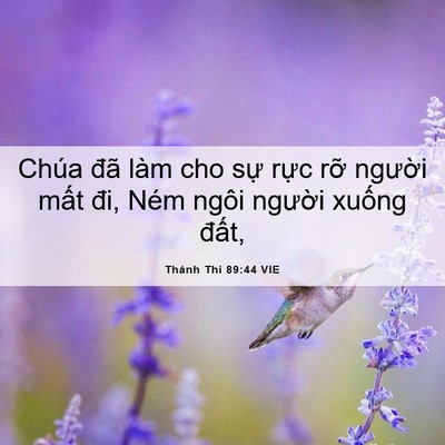 Picture 06 - Thánh Thi 89:44 VIE - Chúa đã làm cho sự rực rỡ người - Bible Verse Picture