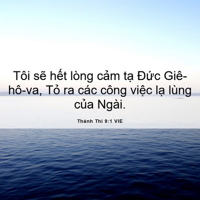 Picture 06 - Thánh Thi 9:1 VIE - Tôi sẽ hết lòng cảm tạ Đức - Bible Verse Picture