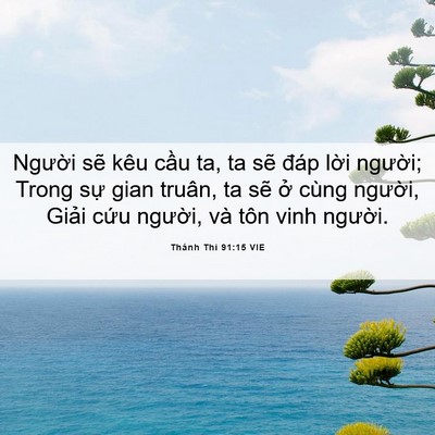 Picture 06 - Thánh Thi 91:15 VIE - Người sẽ kêu cầu ta, ta sẽ đáp lời - Bible Verse Picture