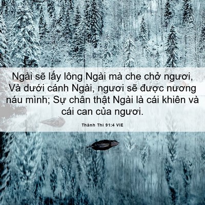 Picture 06 - Thánh Thi 91:4 VIE - Ngài sẽ lấy lông Ngài mà che chở - Bible Verse Picture