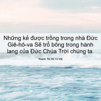Picture 06 - Thánh Thi 92:13 VIE - Những kẻ được trồng trong nhà Đức - Bible Verse Picture