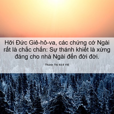 Picture 06 - Thánh Thi 93:5 VIE - Hỡi Đức Giê-hô-va, các chứng cớ Ngài - Bible Verse Picture