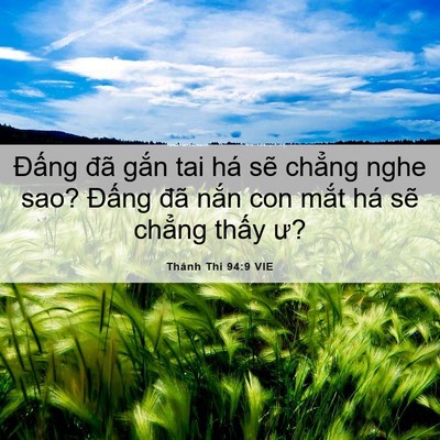 Picture 06 - Thánh Thi 94:9 VIE - Đấng đã gắn tai há sẽ chẳng nghe sao? - Bible Verse Picture