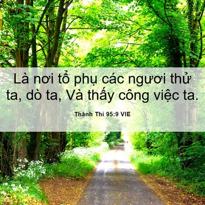 Picture 06 - Thánh Thi 95:9 VIE - Là nơi tổ phụ các ngươi thử ta, dò - Bible Verse Picture