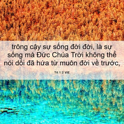 Picture 06 - Tít 1:2 VIE - trông cậy sự sống đời đời, là sự - Bible Verse Picture