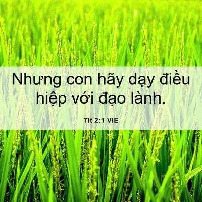 Picture 06 - Tít 2:1 VIE - Nhưng con hãy dạy điều hiệp với đạo - Bible Verse Picture