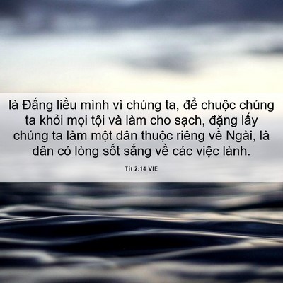 Picture 06 - Tít 2:14 VIE - là Đấng liều mình vì chúng ta, để - Bible Verse Picture