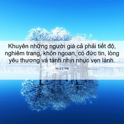 Picture 06 - Tít 2:2 VIE - Khuyên những người già cả phải tiết - Bible Verse Picture