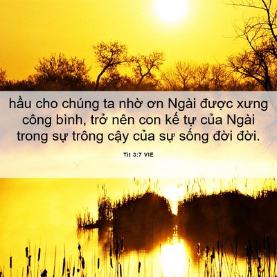 Picture 06 - Tít 3:7 VIE - hầu cho chúng ta nhờ ơn Ngài được - Bible Verse Picture
