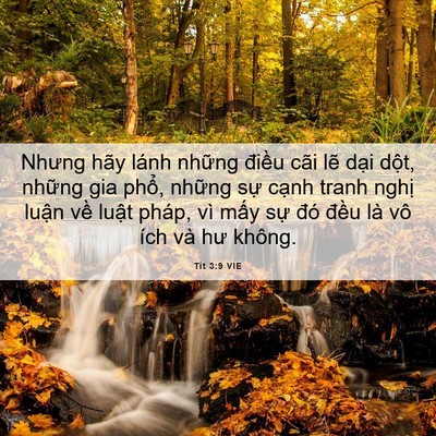 Picture 06 - Tít 3:9 VIE - Nhưng hãy lánh những điều cãi lẽ dại - Bible Verse Picture