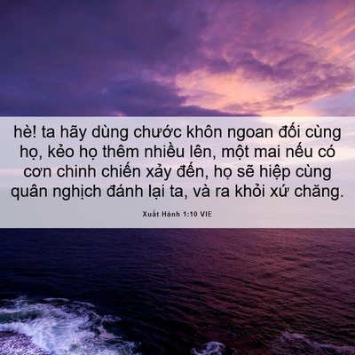 Picture 06 - Xuất Hành 1:10 VIE - hè! ta hãy dùng chước khôn ngoan đối - Bible Verse Picture