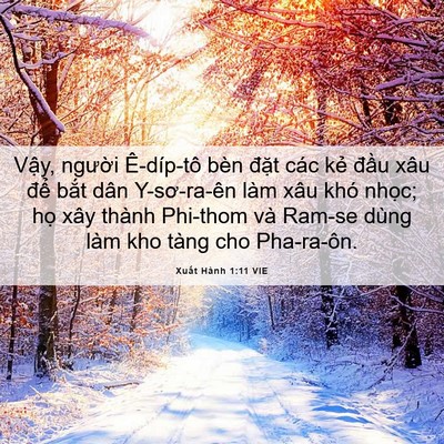 Picture 06 - Xuất Hành 1:11 VIE - Vậy, người Ê-díp-tô bèn đặt các kẻ - Bible Verse Picture
