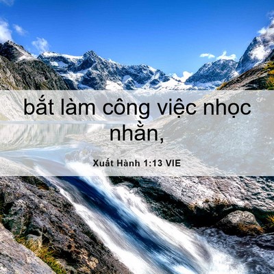 Picture 06 - Xuất Hành 1:13 VIE - bắt làm công việc nhọc - Bible Verse Picture