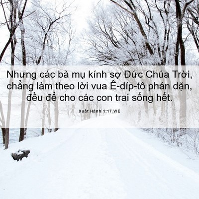 Picture 06 - Xuất Hành 1:17 VIE - Nhưng các bà mụ kính sợ Đức Chúa - Bible Verse Picture
