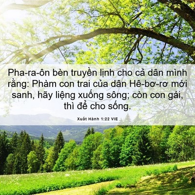 Picture 06 - Xuất Hành 1:22 VIE - Pha-ra-ôn bèn truyền lịnh cho cả dân - Bible Verse Picture