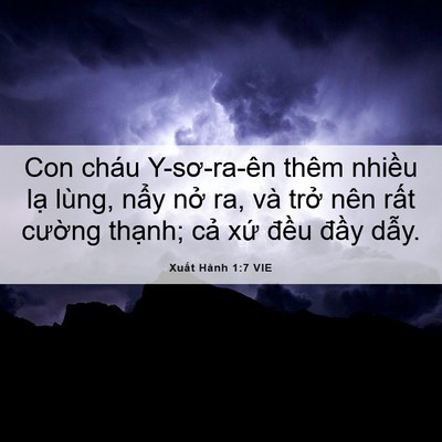 Picture 06 - Xuất Hành 1:7 VIE - Con cháu Y-sơ-ra-ên thêm nhiều lạ lùng, - Bible Verse Picture