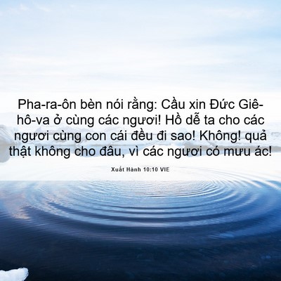 Picture 06 - Xuất Hành 10:10 VIE - Pha-ra-ôn bèn nói rằng: Cầu xin Đức - Bible Verse Picture