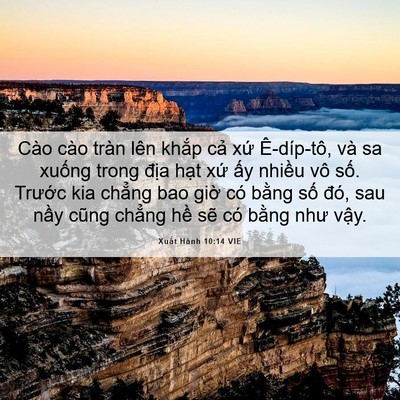 Picture 06 - Xuất Hành 10:14 VIE - Cào cào tràn lên khắp cả xứ - Bible Verse Picture