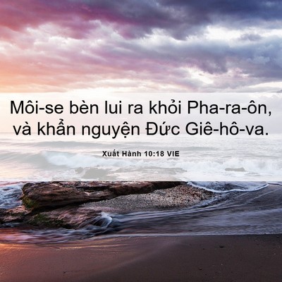 Picture 06 - Xuất Hành 10:18 VIE - Môi-se bèn lui ra khỏi Pha-ra-ôn, và khẩn - Bible Verse Picture