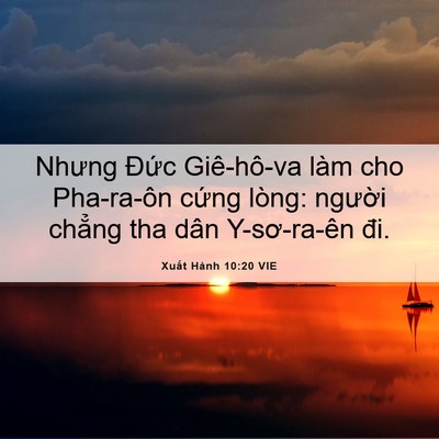 Picture 06 - Xuất Hành 10:20 VIE - Nhưng Đức Giê-hô-va làm cho Pha-ra-ôn - Bible Verse Picture