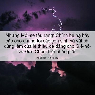 Picture 06 - Xuất Hành 10:25 VIE - Nhưng Môi-se tâu rằng: Chính bệ hạ hãy - Bible Verse Picture