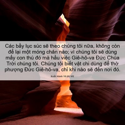 Picture 06 - Xuất Hành 10:26 VIE - Các bầy lục súc sẽ theo chúng tôi - Bible Verse Picture