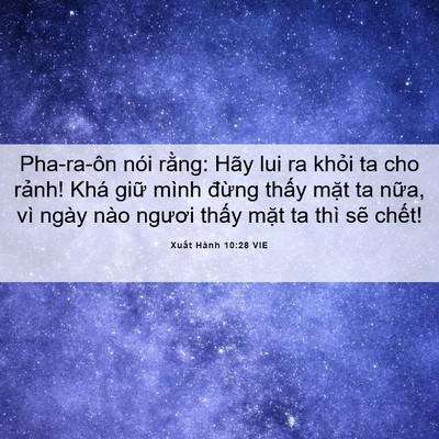 Picture 06 - Xuất Hành 10:28 VIE - Pha-ra-ôn nói rằng: Hãy lui ra khỏi ta cho - Bible Verse Picture