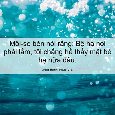Picture 06 - Xuất Hành 10:29 VIE - Môi-se bèn nói rằng: Bệ hạ nói phải - Bible Verse Picture