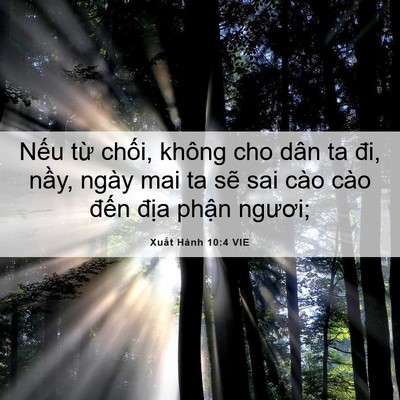 Picture 06 - Xuất Hành 10:4 VIE - Nếu từ chối, không cho dân ta đi, nầy, - Bible Verse Picture