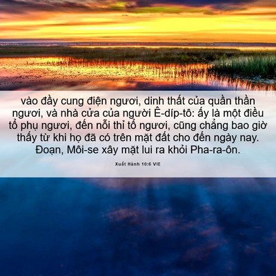 Picture 06 - Xuất Hành 10:6 VIE - vào đầy cung điện ngươi, dinh thất - Bible Verse Picture