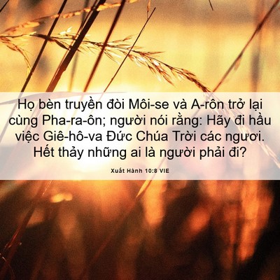 Picture 06 - Xuất Hành 10:8 VIE - Họ bèn truyền đòi Môi-se và A-rôn trở - Bible Verse Picture